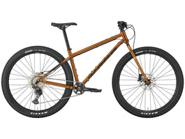 Unit X - MTB Hardtail - Gold