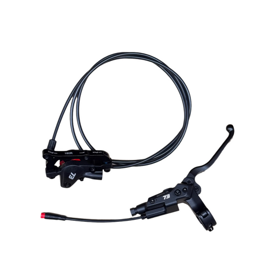 Brake Assembly, Rear, Hydraulic, Star Union 221PYDJ