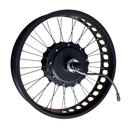 Motor Assembly, Rear Wheel, Bronze R/S Adv